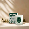 Green les Pins candles on white background with foliage shade